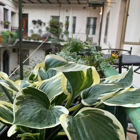 Artinea Appartement